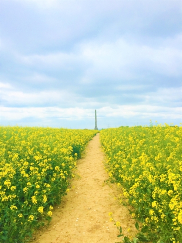 その先にあるもの